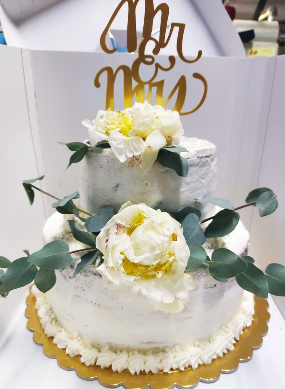 &Gamma;ά&mu;&omicron;&sigmaf; &Zeta;&alpha;&chi;&alpha;&rho;&omicron;&pi;&lambda;&alpha;&sigma;&tau;&epsilon;ί&omicron; &Sigma;&iota;&delta;&epsilon;&rho;ά&kappa;&eta; &Kappa;ύ&mu;&eta; &Epsilon;&upsilon;&beta;&omicron;ί&alpha;&sigmaf;