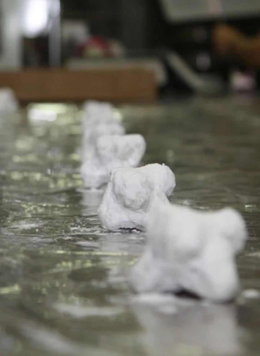 &Alpha;&mu;&upsilon;&gamma;&delta;&alpha;&lambda;&omega;&tau;ά &Kappa;ύ&mu;&eta;&sigmaf;